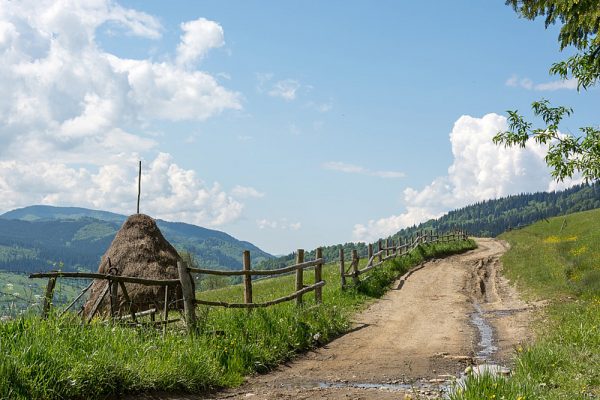 POLACY NA HUCULSZCZYŹNIE (3)